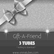 VNGIFT03 Gift-A-Friend