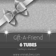 VNGIFT06 Gift-A-Friend